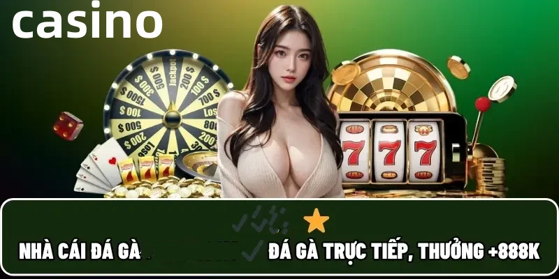 ok79ss